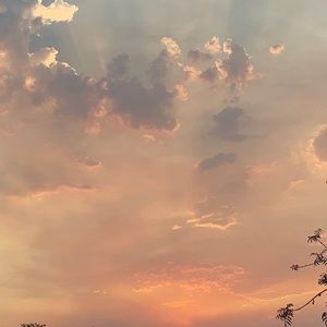 Meet your Posher, Vivian